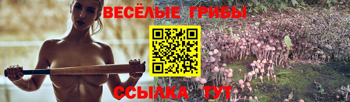Псилоцибиновые грибы ЛСД Ленинск-Кузнецкий