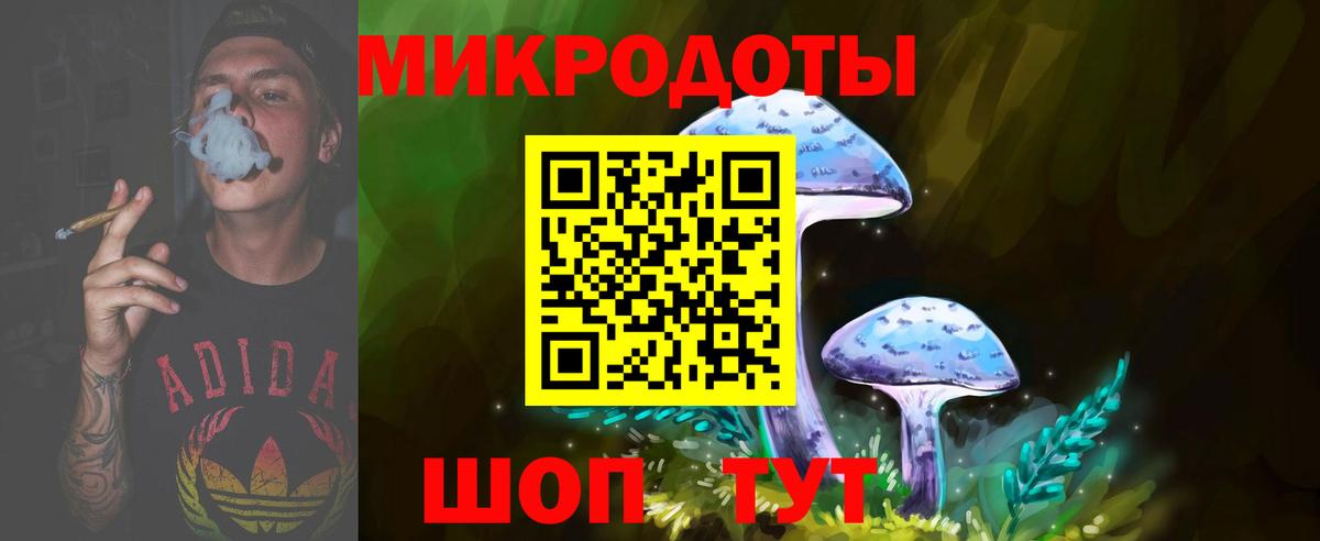 Ленинск-Кузнецкий  где купить   Вход с VPN  Псилоцибиновые грибы мицелий 